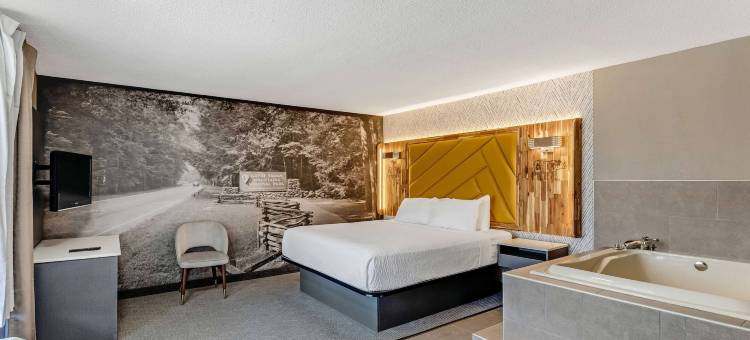 LeConte汽车旅馆华美达由维亚德姆(The Wander Hotel, a Ramada by Wyndham)图片