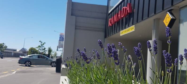 基督城华美达套房酒店(Ramada Suites by Wyndham Christchurch City)图片