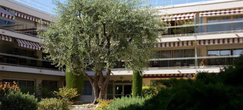 安提伯斯泰利基亚原生住宅酒店(The Originals Résidence, les Strélitzias)图片