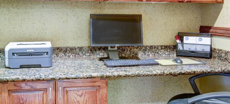 大学路舒适套房酒店(Comfort Suites University Drive)图片