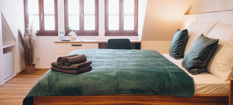 胖鸭膳宿公寓(Penzion Tlusta kachna)图片