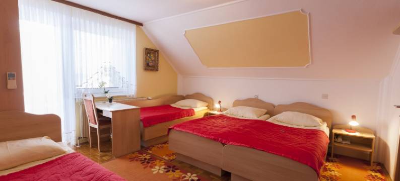 贾纳公寓酒店(Rooms & Apartments Jana)图片