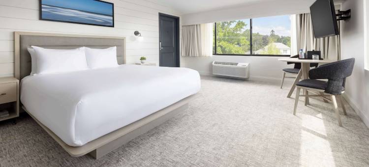 佩尔凯悦尚选酒店(The Pell)图片