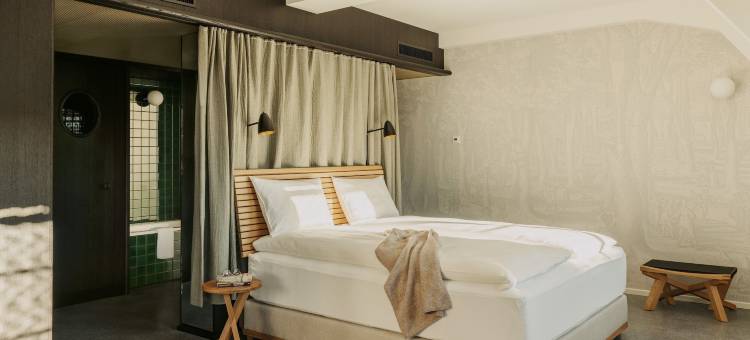 巴塞尔人民之家(Boutique & Design Hotel Volkshaus Basel)图片