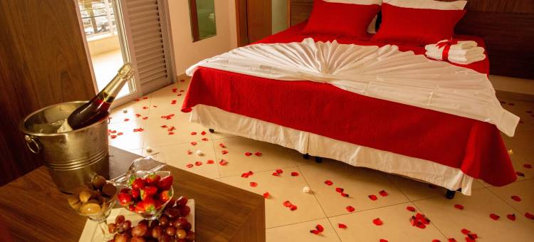 卡尔顿托雷广场(Carlton Plaza Torre)图片