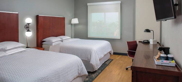 休斯顿霍比机场福朋喜来登酒店(Four Points by Sheraton Houston Hobby Airport)图片