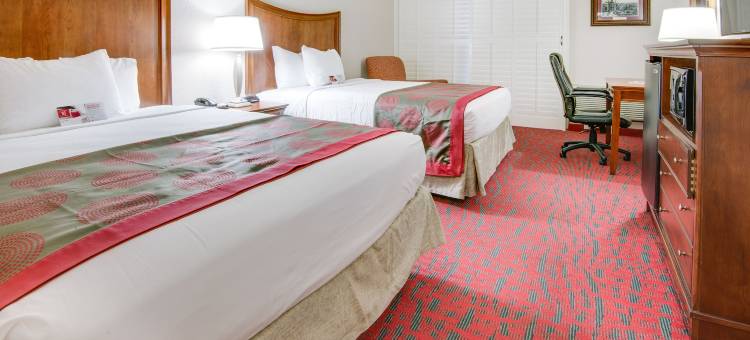 梅塔里新奥尔良机场华美达酒店(Ramada by Wyndham Metairie New Orleans Airport)图片