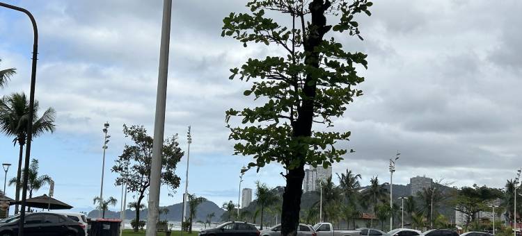 Praia旅馆(Pousada da Praia)图片