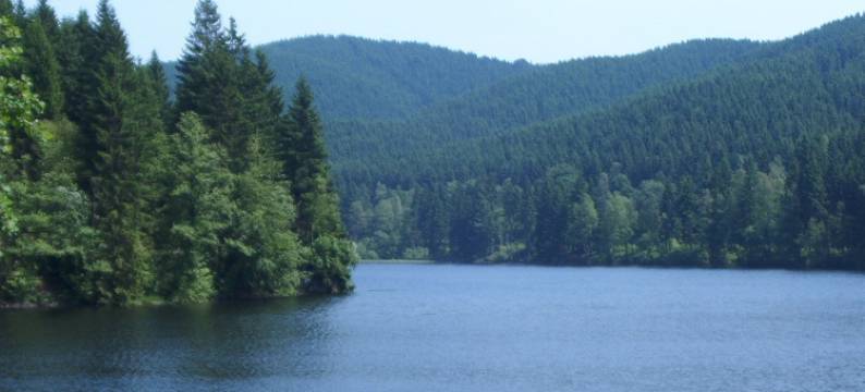 库米特尔豪斯潘森酒店(Hotel Pension am Kurmittelhaus)图片