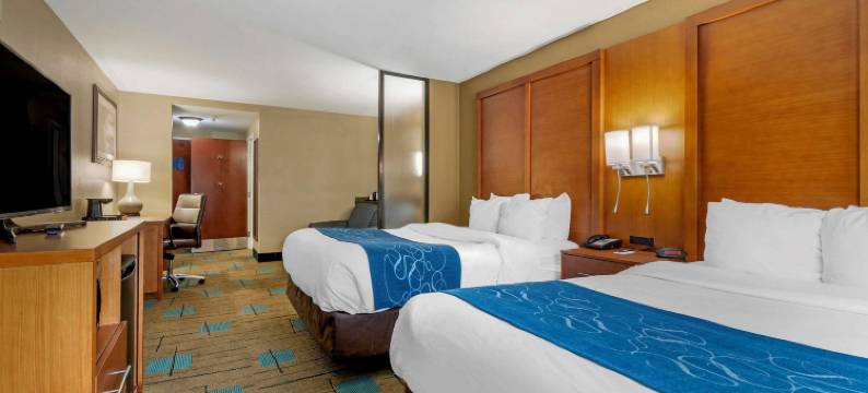 博福特-近帕里斯岛舒适套房酒店(Comfort Suites Near Mcas Beaufort)图片