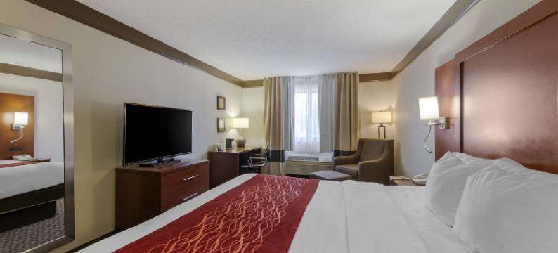 芒特弗农舒适酒店(Comfort Inn)图片