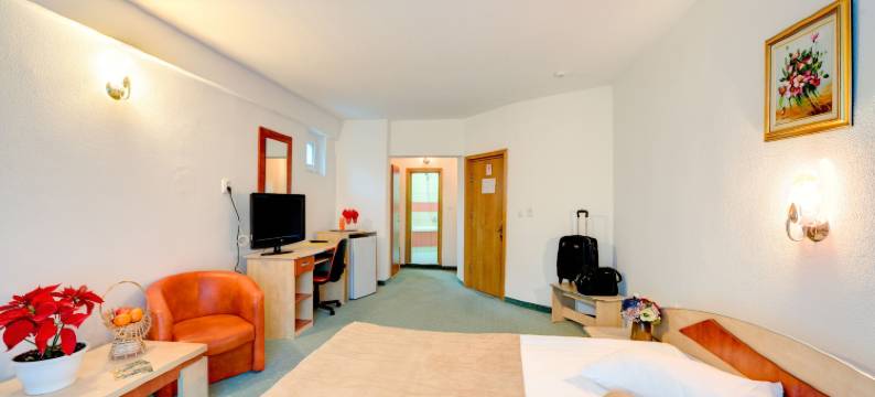 猎人角酒店(Hotel Cornul Vanatorului)图片