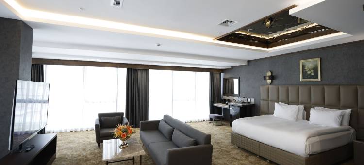 安卡拉公园戴德曼基兹拉伊(Park Dedeman Kizilay Ankara)图片