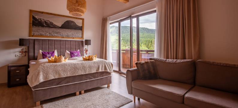 高山巢穴酒店(Hotel Alpennest)图片