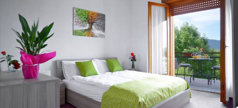 小熊布鲁诺(Piccolo Orso Bruno)图片