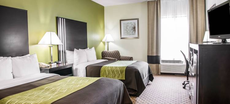 印第安纳波利斯东舒适酒店(Comfort Inn East)图片