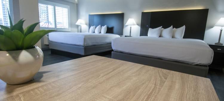美国现代酒店(Americana Modern Hotel)图片
