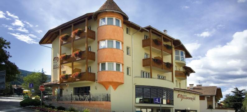 米兰德霍夫酒店(Hotel Millanderhof)图片