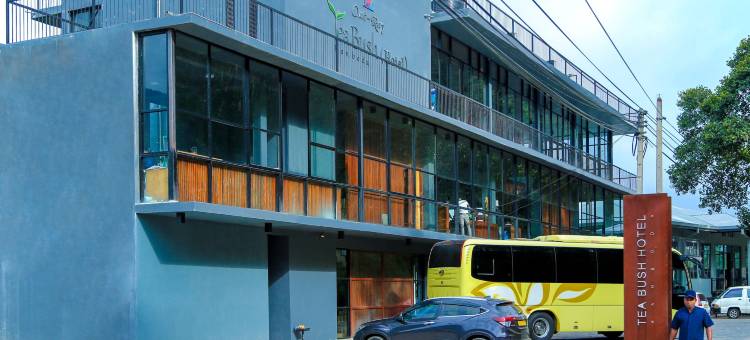 奥瑞提布旅馆-兰波达(Oak Ray Tea Bush)图片