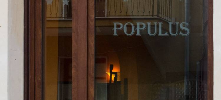 波普鲁斯酒店(Populus)图片