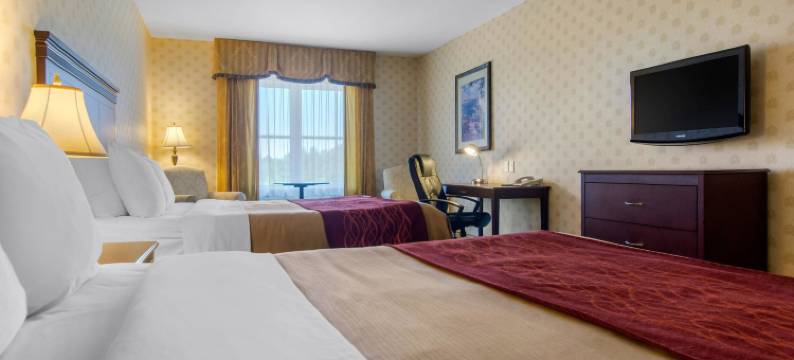 舒适套房酒店(Comfort Inn & Suites)图片