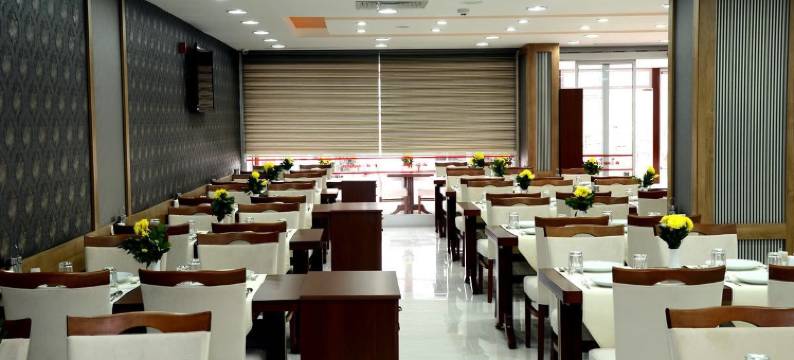 茨纳尔帕克酒店(Çınarpark Hotel)图片