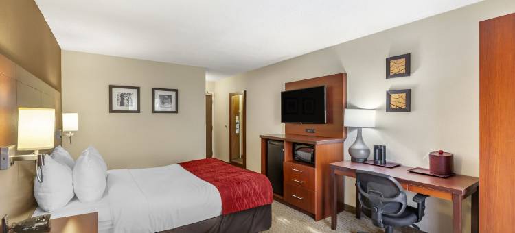 舒适酒店机场西(Comfort Inn Airport West)图片