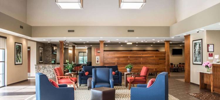 哈特维尔北坎顿舒适套房酒店(Comfort Suites Hartville-North Canton)图片