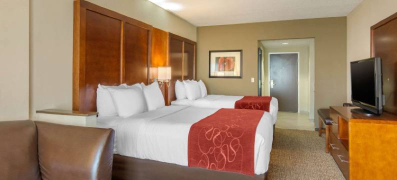 南方公园舒适套房酒店(Comfort Suites Southpark)图片