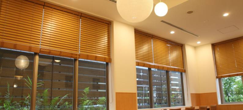 东京西葛西伦勃朗风格大酒店(Rembrandt Style Tokyo Nishikasai Grande)图片