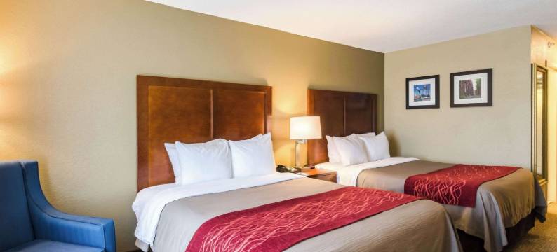 舒适酒店兰道夫 - 波士顿(Comfort Inn Randolph-Boston)图片