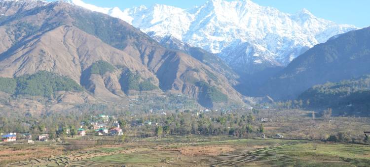 皇家绿芽酒店(Royal Green Buds)图片