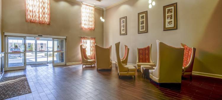 里奇蒙舒适套房酒店(Comfort Suites)图片