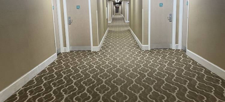 舒适酒店, 松树山 - 南派恩斯(Comfort Inn Pinehurst - Southern Pines)图片