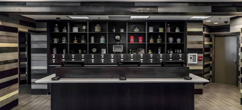 底特律诺维福朋喜来登酒店(Four Points by Sheraton Detroit Novi)图片