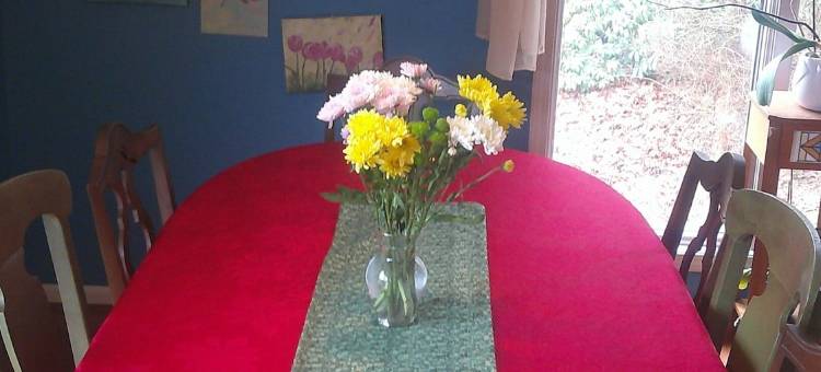 小黑熊旅馆(Lil Black Bear Inn)图片