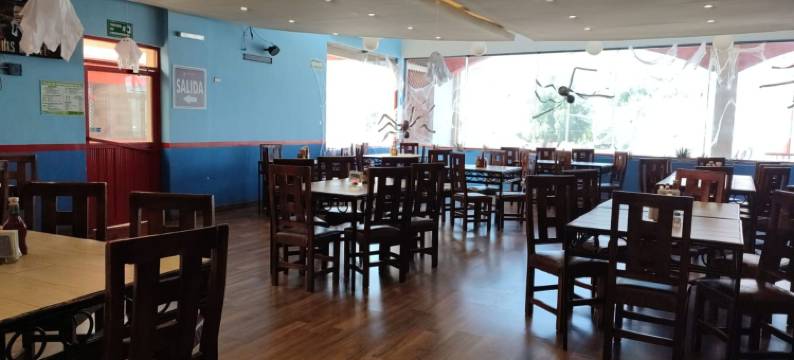 萨尔蒂洛拉富恩特酒店(Hotel la Fuente, Saltillo)图片