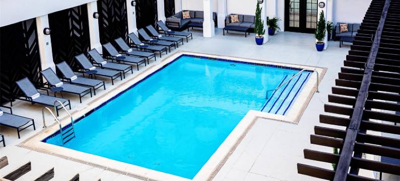 奇夫利休斯顿希尔顿启缤精选酒店(The Chifley Houston, Tapestry Collection by Hilton)图片