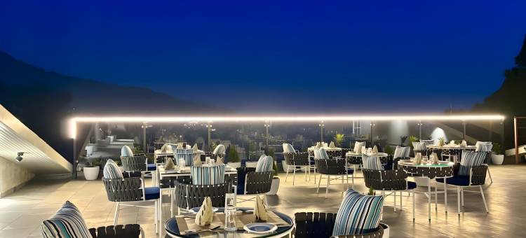 ARNISA卡苏利-精品酒店(Arnisa Kasauli - A Boutique Hotel)图片