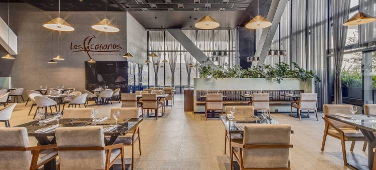 美洲嘉年华威雅杜克机场酒店(Fiesta Americana Viaducto Aeropuerto)图片