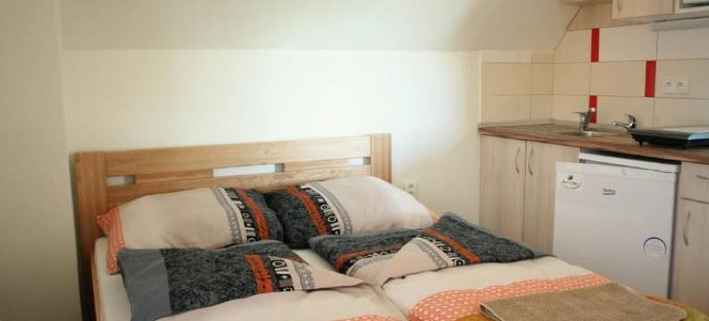 PENZION POD PALAVU 膳宿公寓(Penzion Pod Palavu)图片