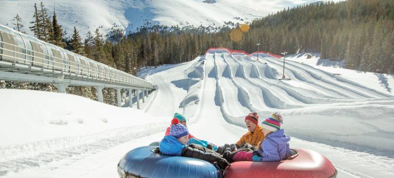 2卧室/2浴室公寓在班车路线 - 野爱尔兰人1015 - 游泳池和更多！(2Br/2BA Condo on Shuttle Route - Wild Irishman 1015 - Pool & More!)图片