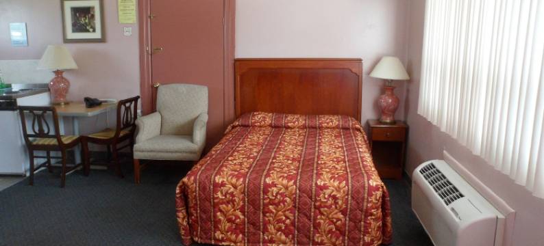 银桦树汽车旅馆(The Silver Birch Motel)图片