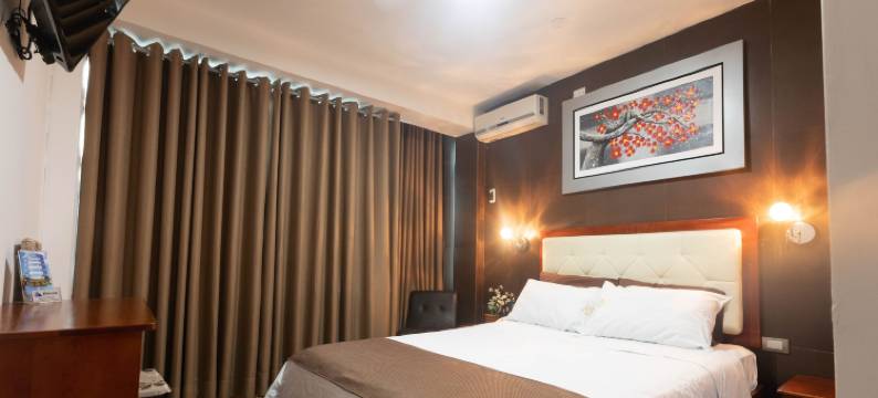 迪梅利兹酒店(D´Milez Hotel)图片