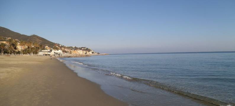 阿里斯顿酒店(Hotel Ariston & Apartments)图片