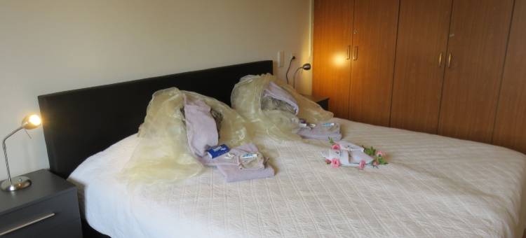 Rene's 民宿(Rene's B&B)图片