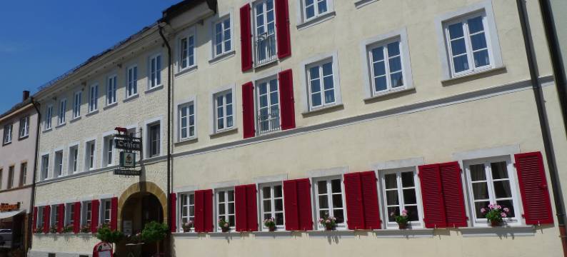 罗特欧森餐厅酒店(Hotel-Restaurant Roter Ochsen)图片