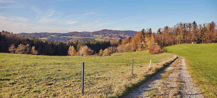 森林与草地度假公寓(Ferienwohnungen Wald Und Wiese)图片