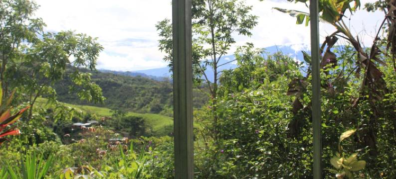 卡巴纳斯科利布里塔尤提克(Cabañas Colibrí Tayutic)图片