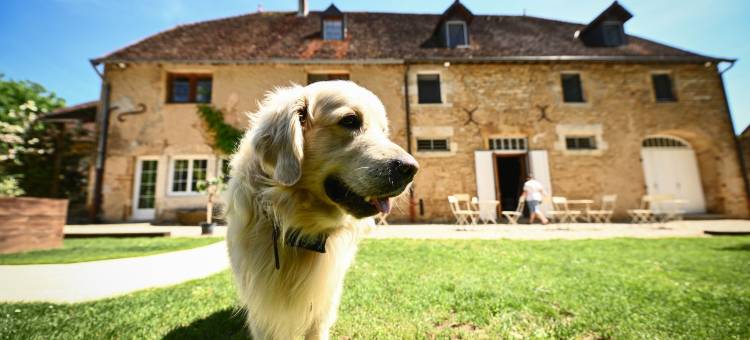 贝尔赛兰区酒店(Domaine de Bersaillin)图片